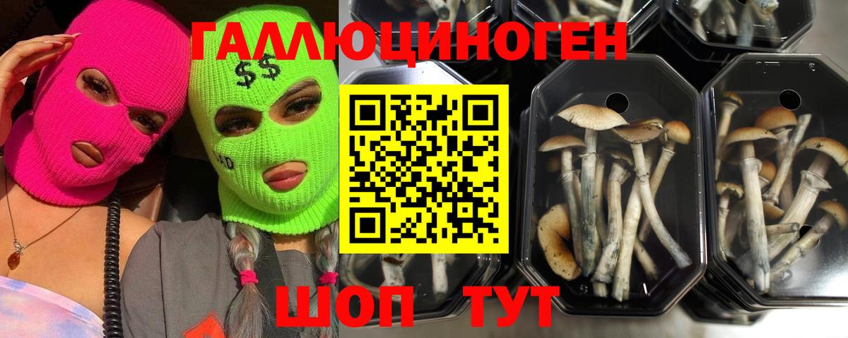 Псилоцибиновые грибы MAGIC MUSHROOMS  Галлюциногенные грибы Magic Shrooms  Камышин  Вход с VPN 